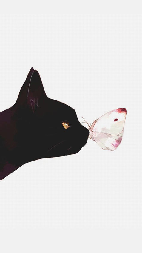 黑猫壁纸 蝴蝶壁纸