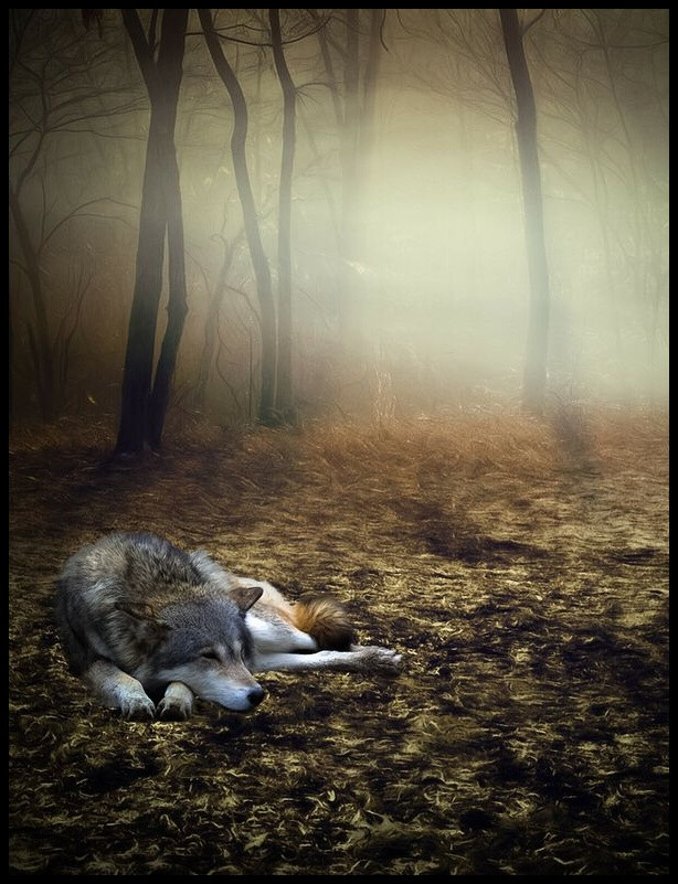 700_913竖版 竖屏