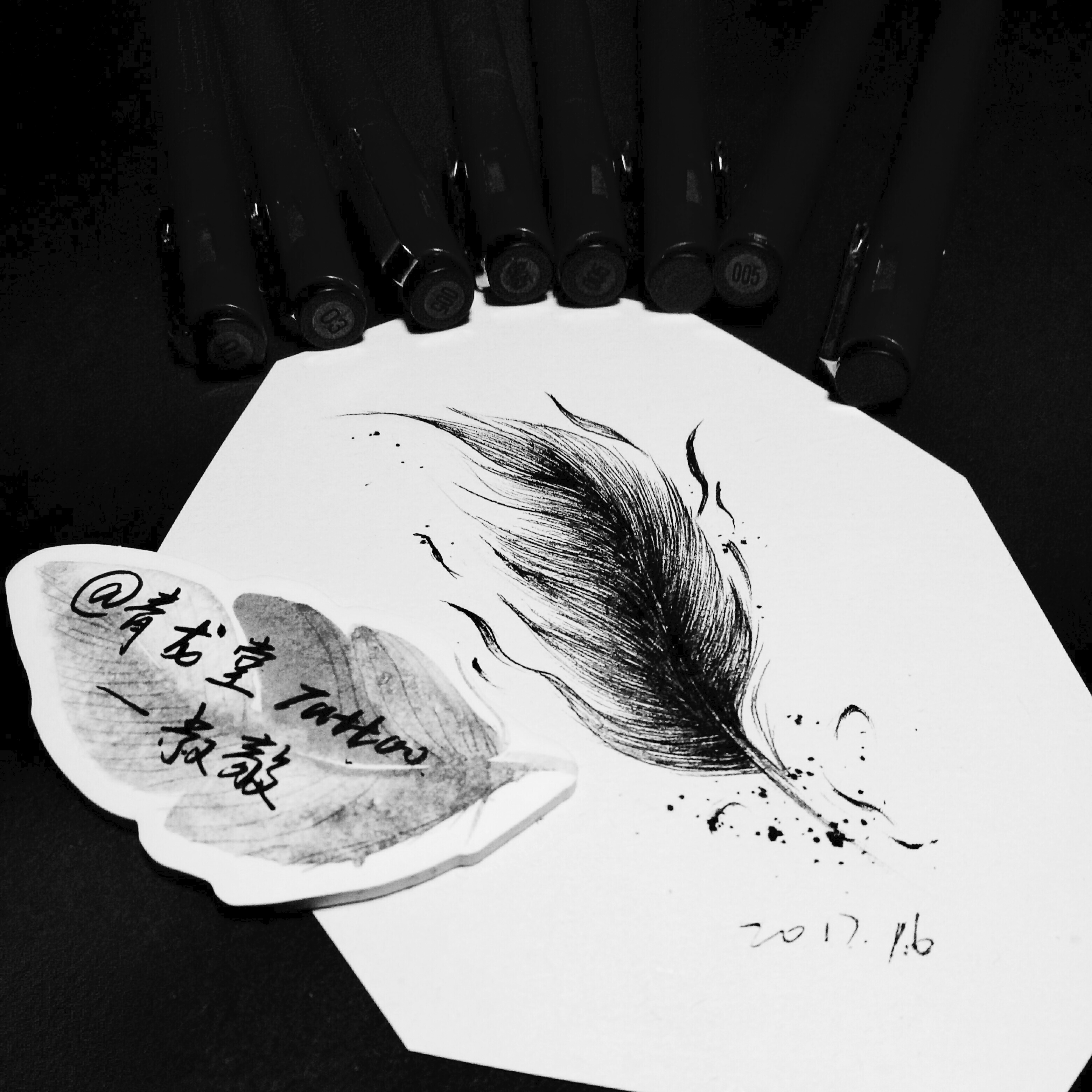 纹身手稿##黑白插画##小清新##青龙堂##羽毛##青龙堂