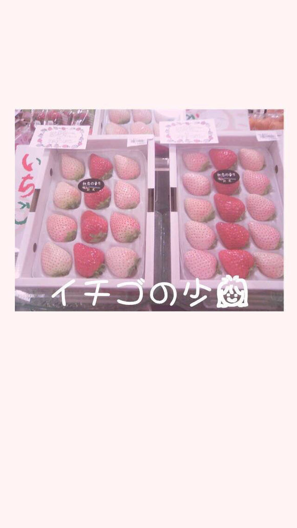 少女心壁纸可爱锁屏原宿小清新ins软萌平铺动漫壁纸高清壁纸粉色系