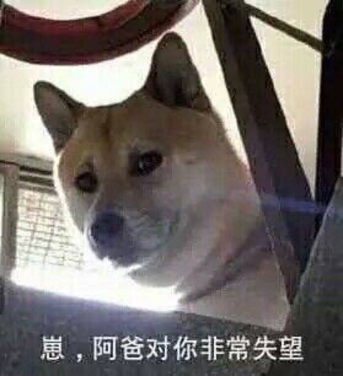表情包 