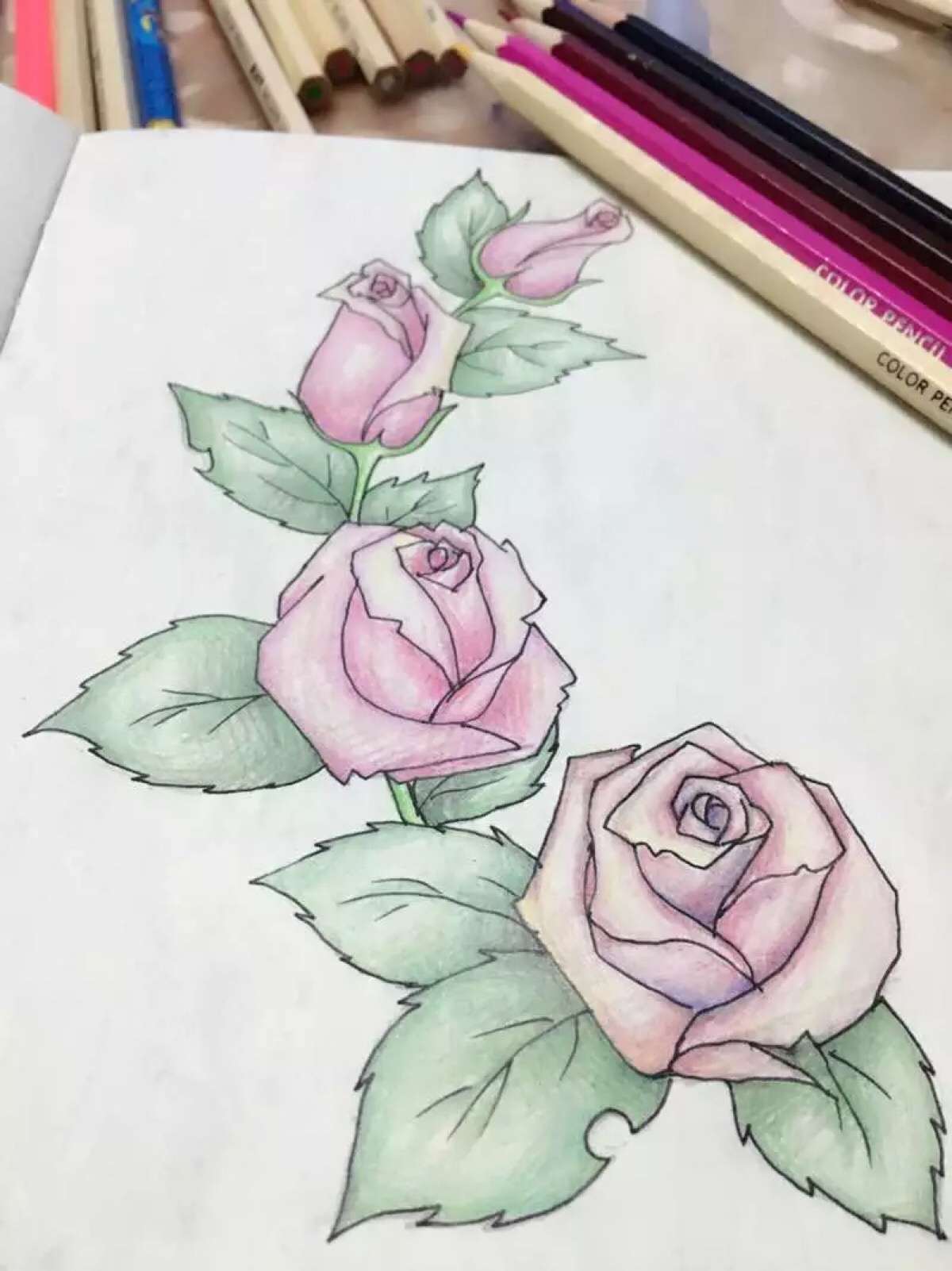 玫瑰花的画法二次元图片