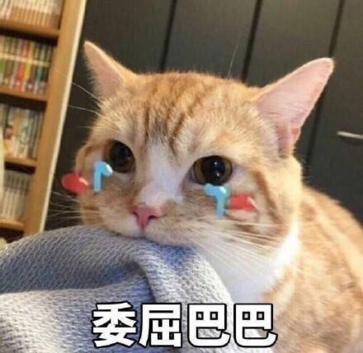 委屈巴巴