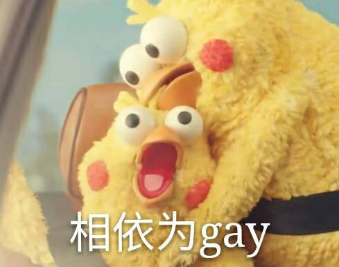 鹦鹉兄弟#表情包#鸡年表情包#鹦鹉表情包#羊驼驼的表情#相依为gay
