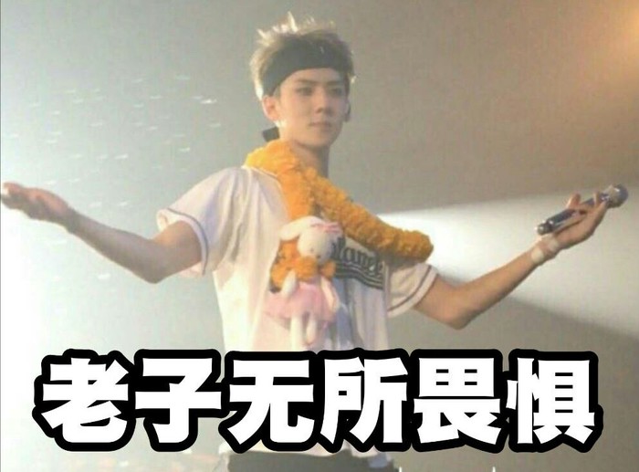 exo 表情包