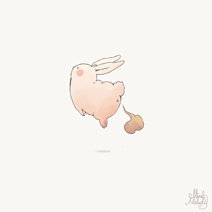 创作的系列动物插画《joojee & friends》中的主人公胖兔子joojee