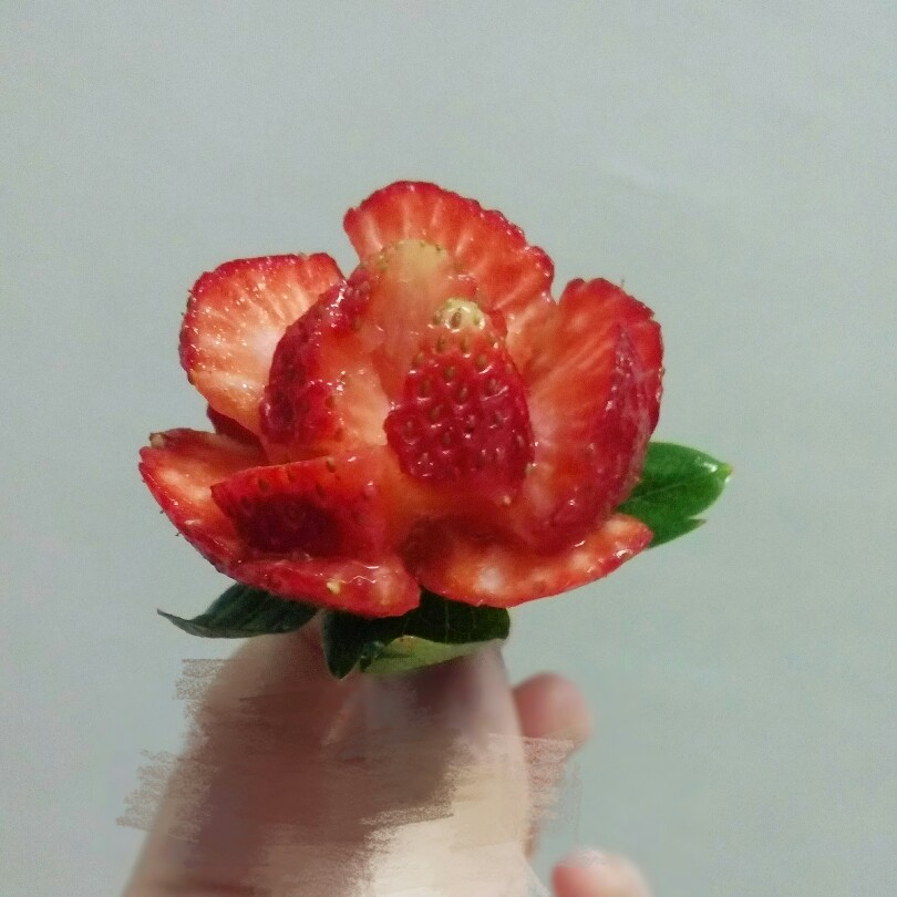 草莓草莓玫瑰