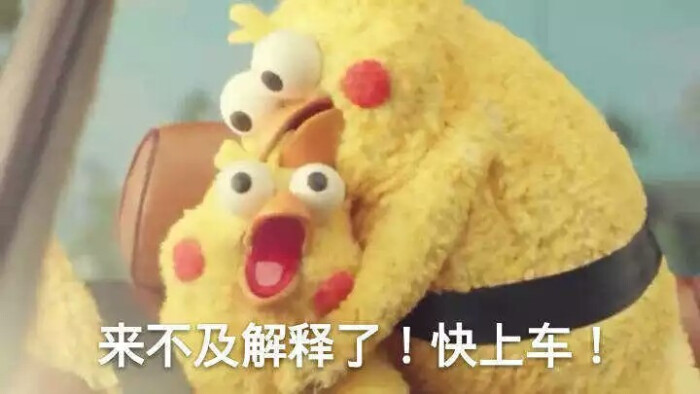 斗图v鹦鹉鹦鹉。图片大全。搞笑长胖表情兄弟可爱的图片图片
