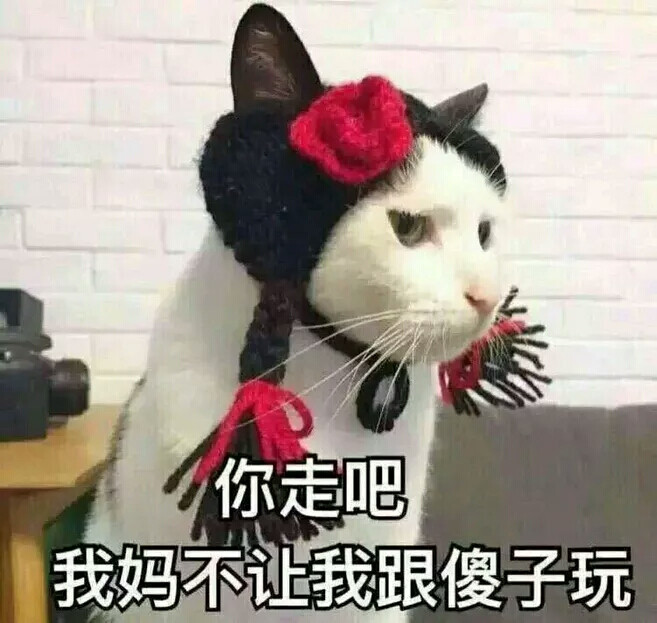 表情包#我妈不让我和傻子玩