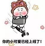 你的小可爱上线了