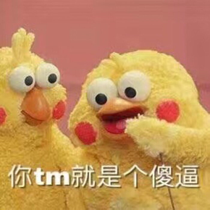 脆皮鹦鹉头像