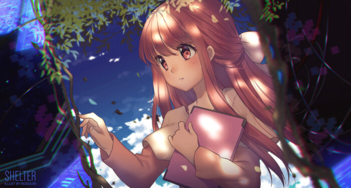 shelter 避难所