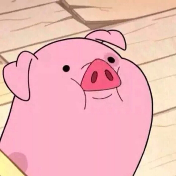 网红猪小粉猪头像图片