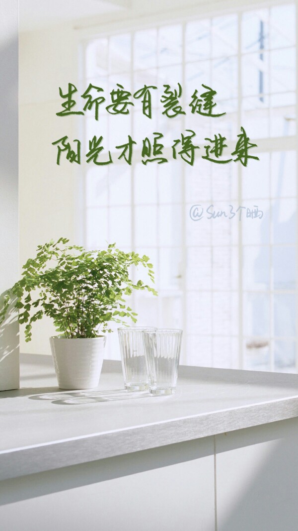 阳光灿烂