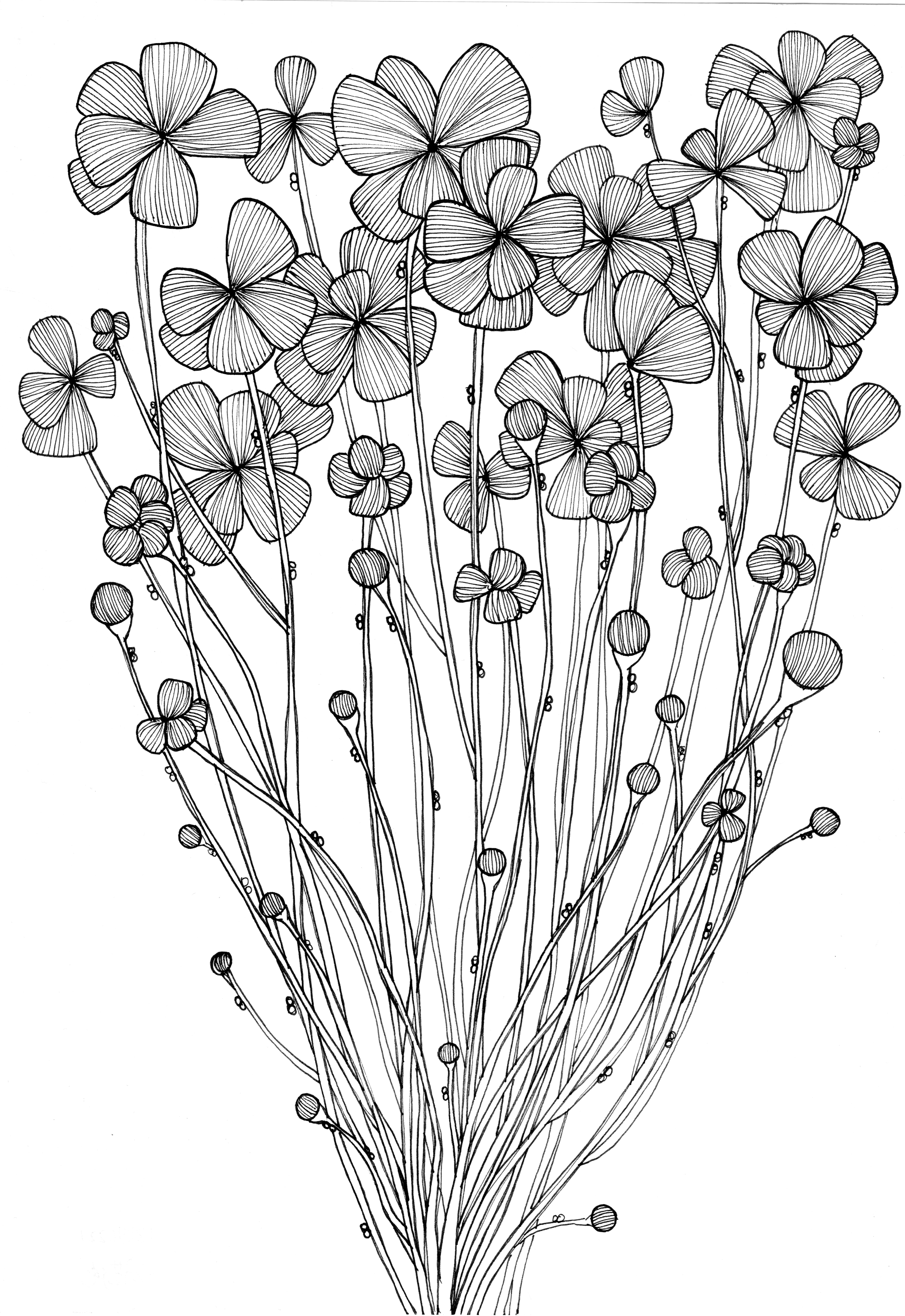 黑白图案 生长.