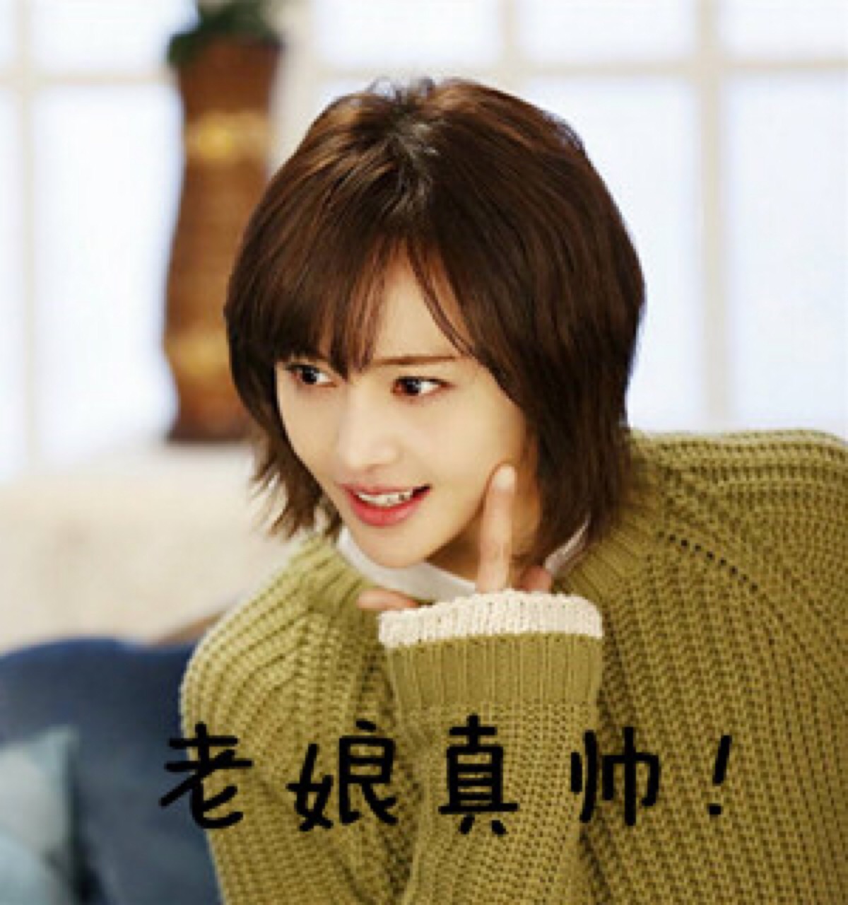 郑爽表情包