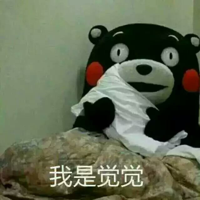 表情包##熊本熊##我是觉觉##可爱