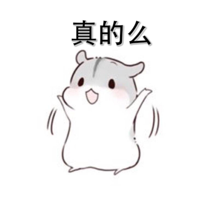 自制超口耐的小仓鼠带字专辑-堆糖,美好生活研究所