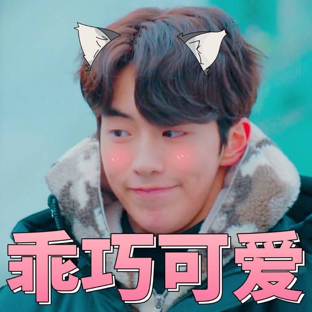 表情包 南柱赫