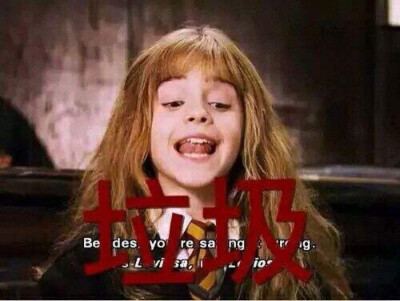 哈利波特表情包