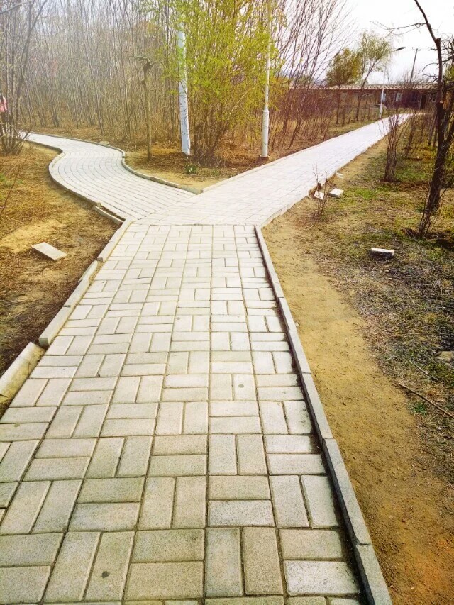 分叉路 