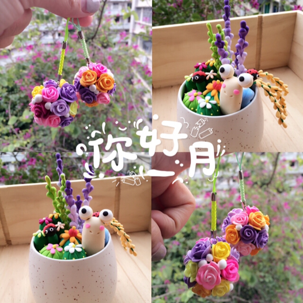 粘土植物