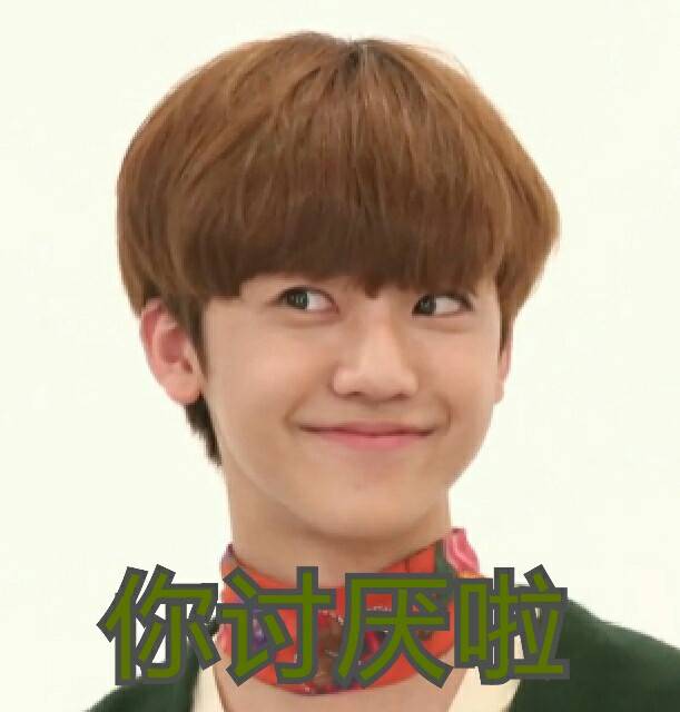 nct 罗渽民 表情包
