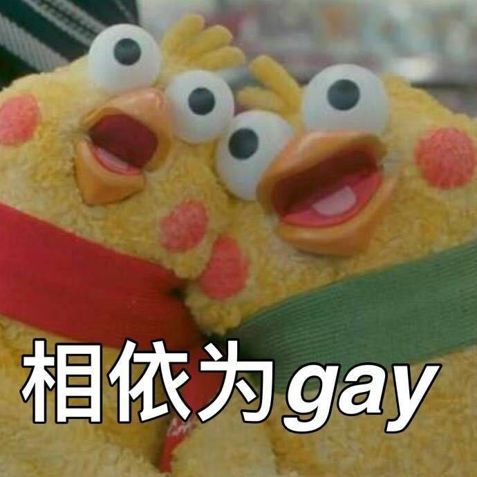 表情白色相依为gay大全表情鹦鹉包娃娃图片图片