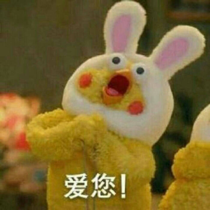 鹦鹉表情包 爱您!