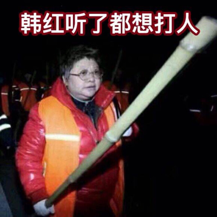 韩红听了想v小鸟小鸟表情表情包毛茸茸图片