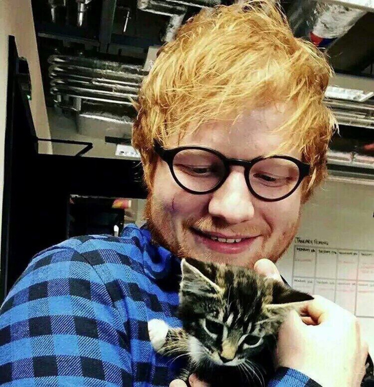christopher sheeran)艺名艾德·希兰(ed sheeran),1991年2月17日出生