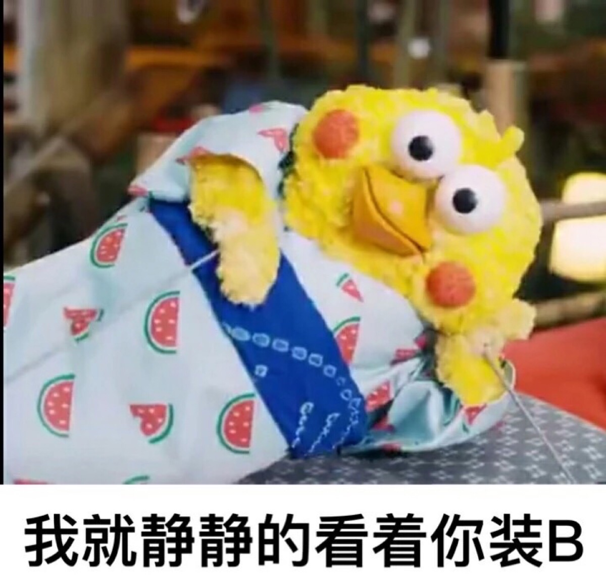 鹦鹉兄弟#表情包