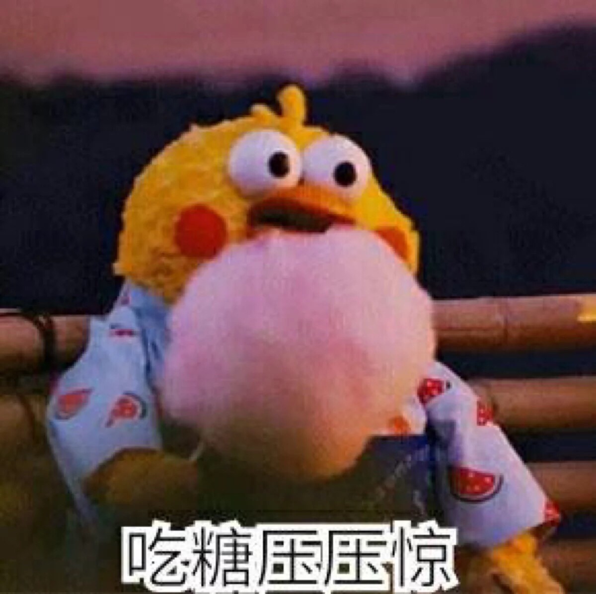 鹦鹉兄弟#表情包