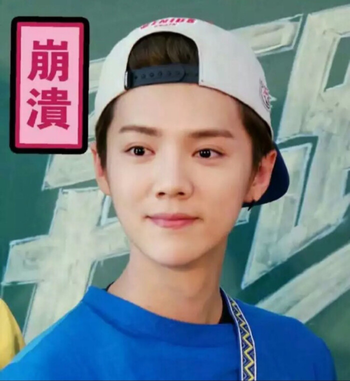 鹿晗表情包