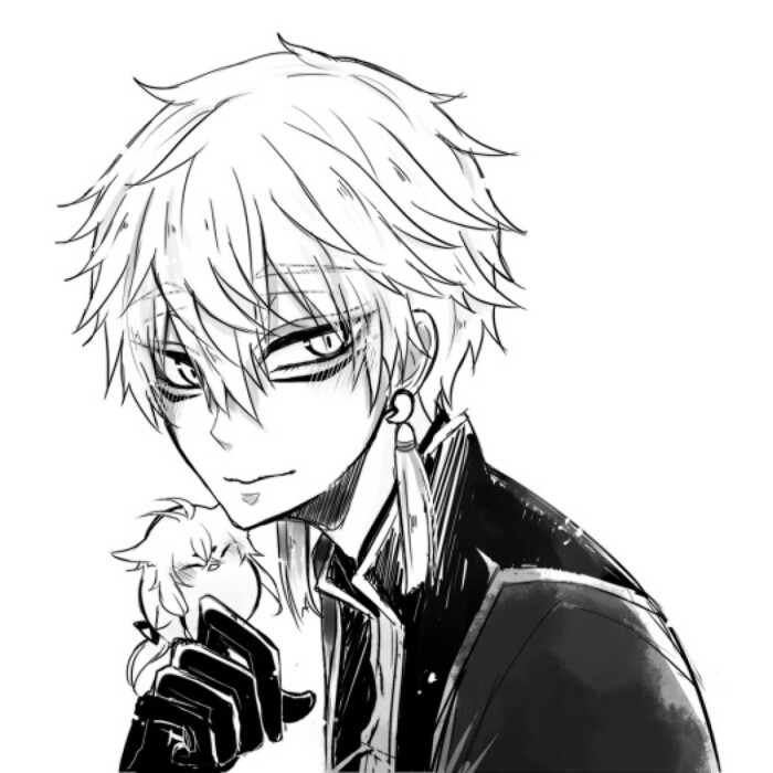 刀剑乱舞 鸣狐 双狐