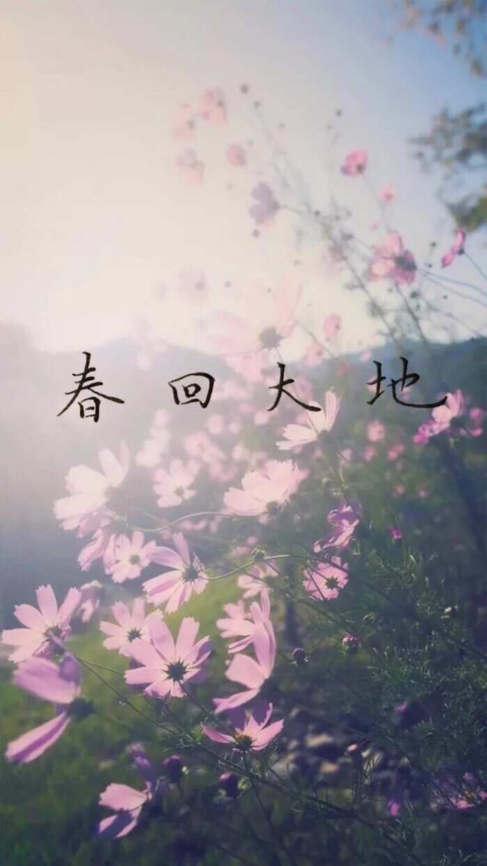 春回大地 手写文字壁纸
