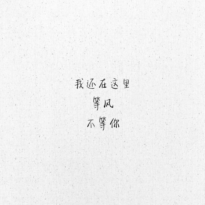 我还在这里等风不等你