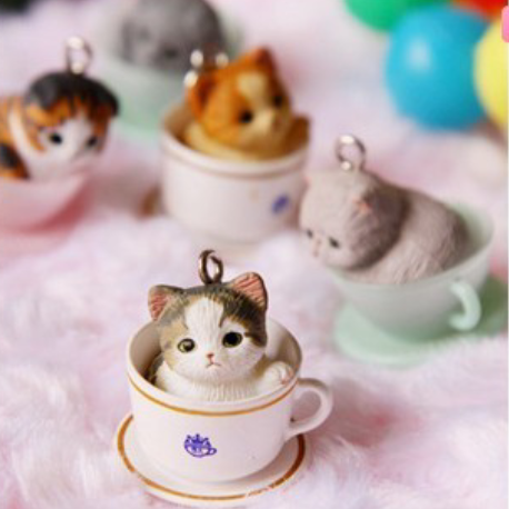 茶杯猫(>^ω^ ) - 堆糖,美图壁纸兴趣社区