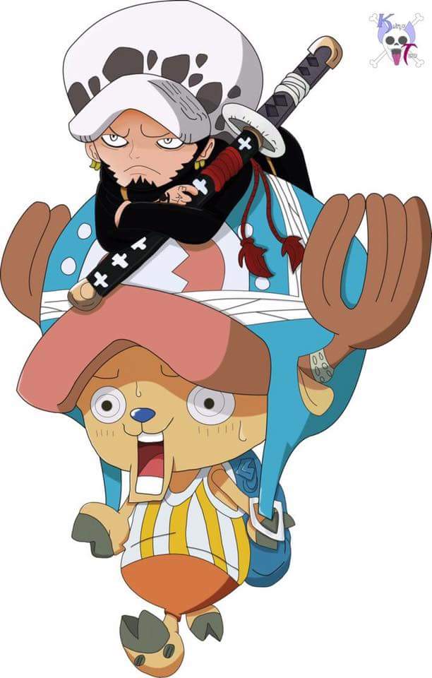 one piece 海贼王 chopper 罗