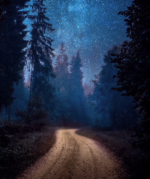 爱沙尼亚的森林夜晚星空弥漫十分美丽