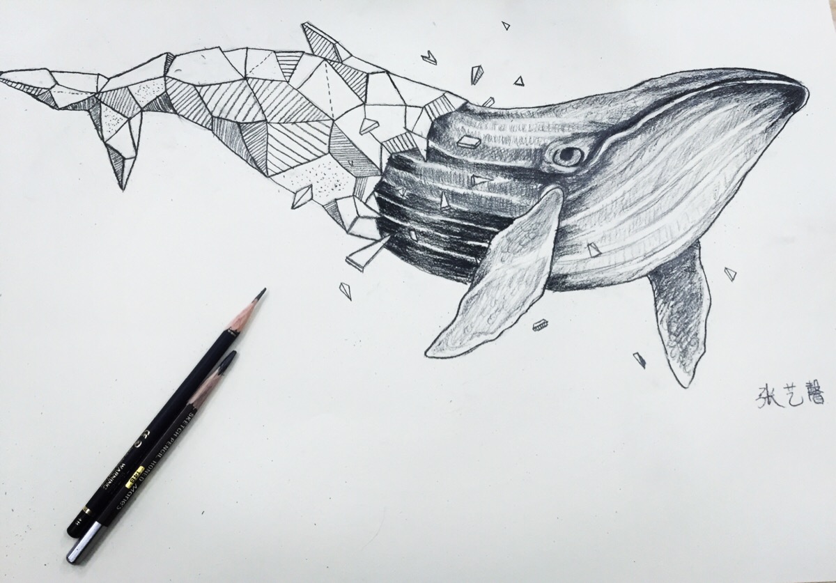 鲸鱼仿生设计手绘图片