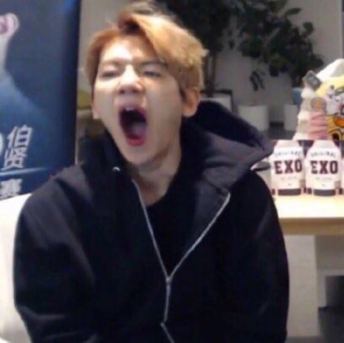 exo 边伯贤 表情包