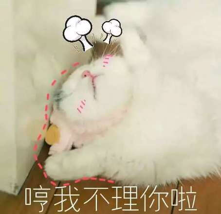 萌宠表情可爱卖萌猫咪()搞笑图片的了睡别人跟图片