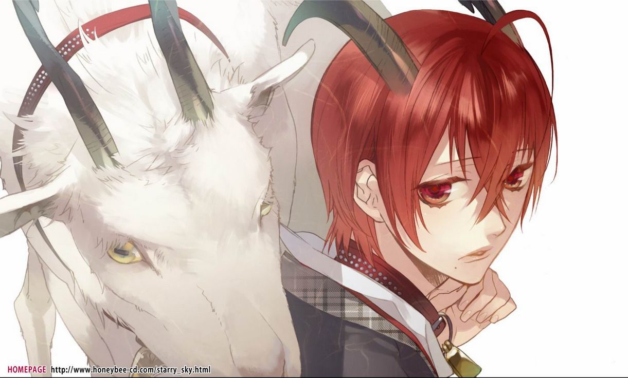 摩羯座(capricornus),12.22-1.19,土象星座