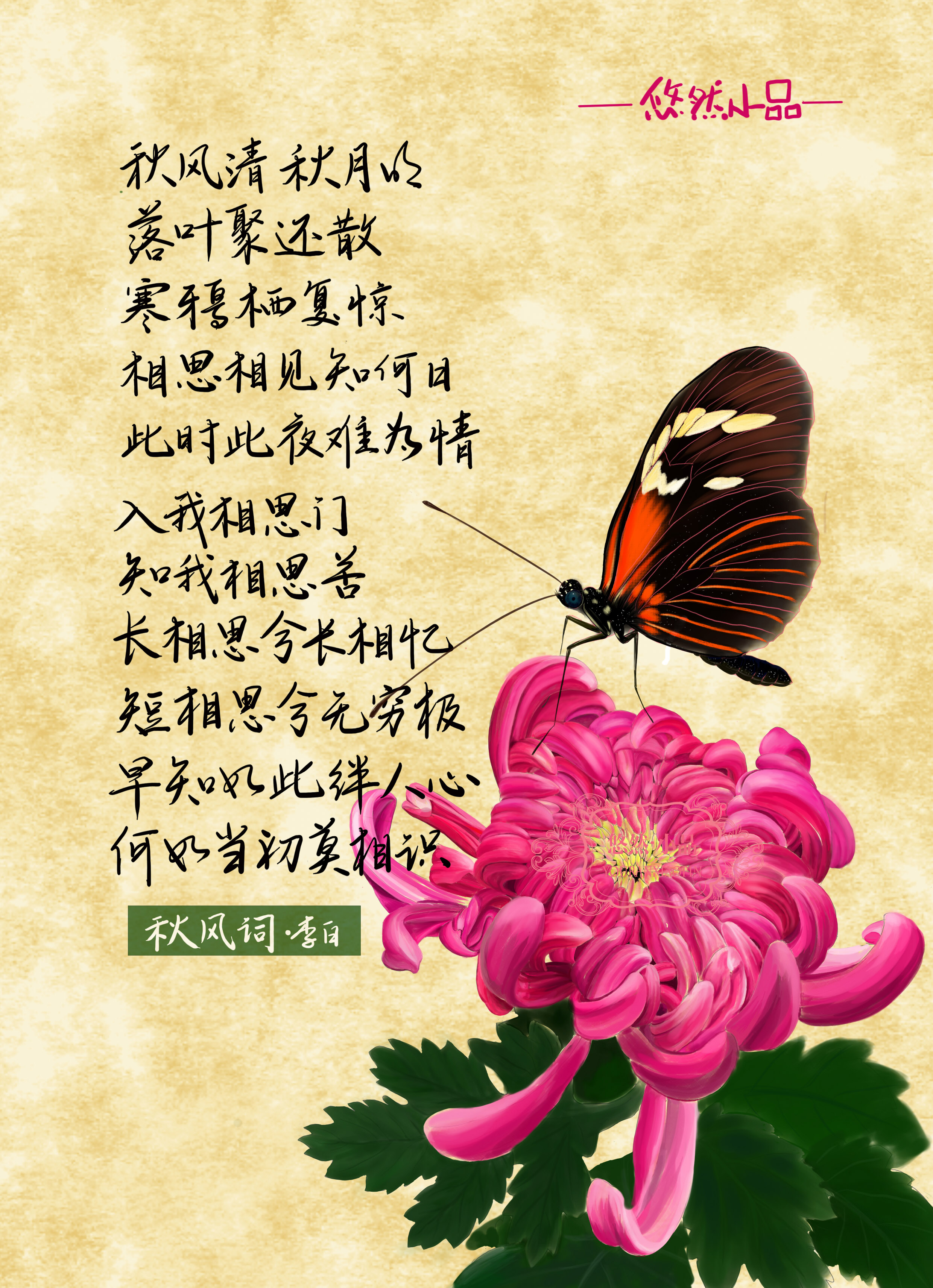 描写蝴蝶的诗句图片