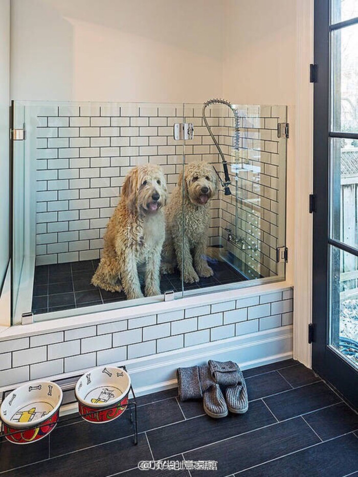 宠物洗澡池装修效果图图片