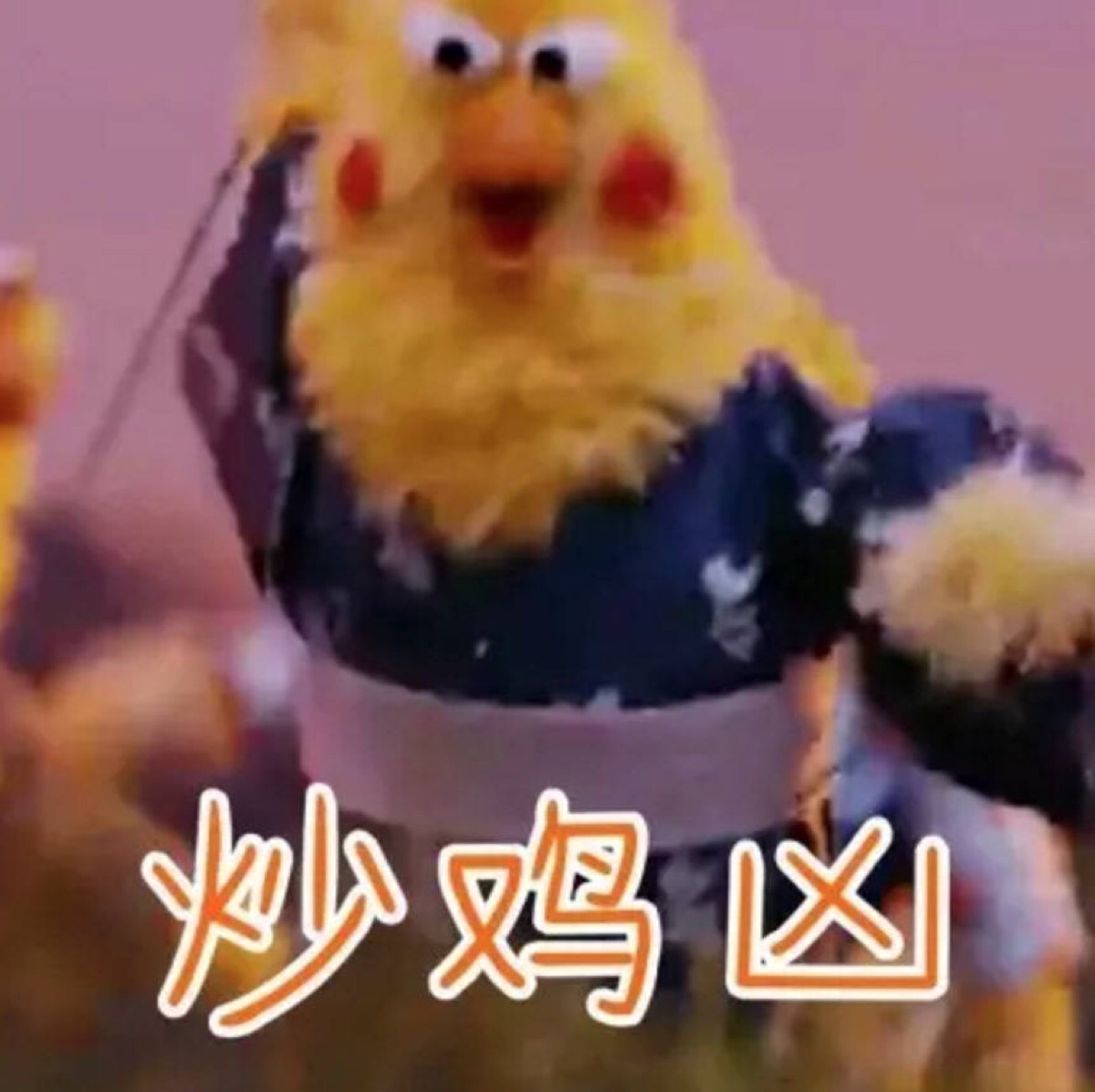 鹦鹉兄弟魔性表情包,侵删.by鲸落