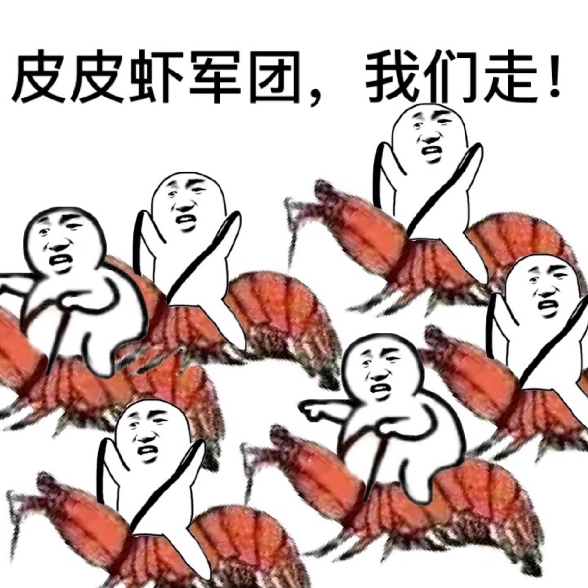 皮皮虾 