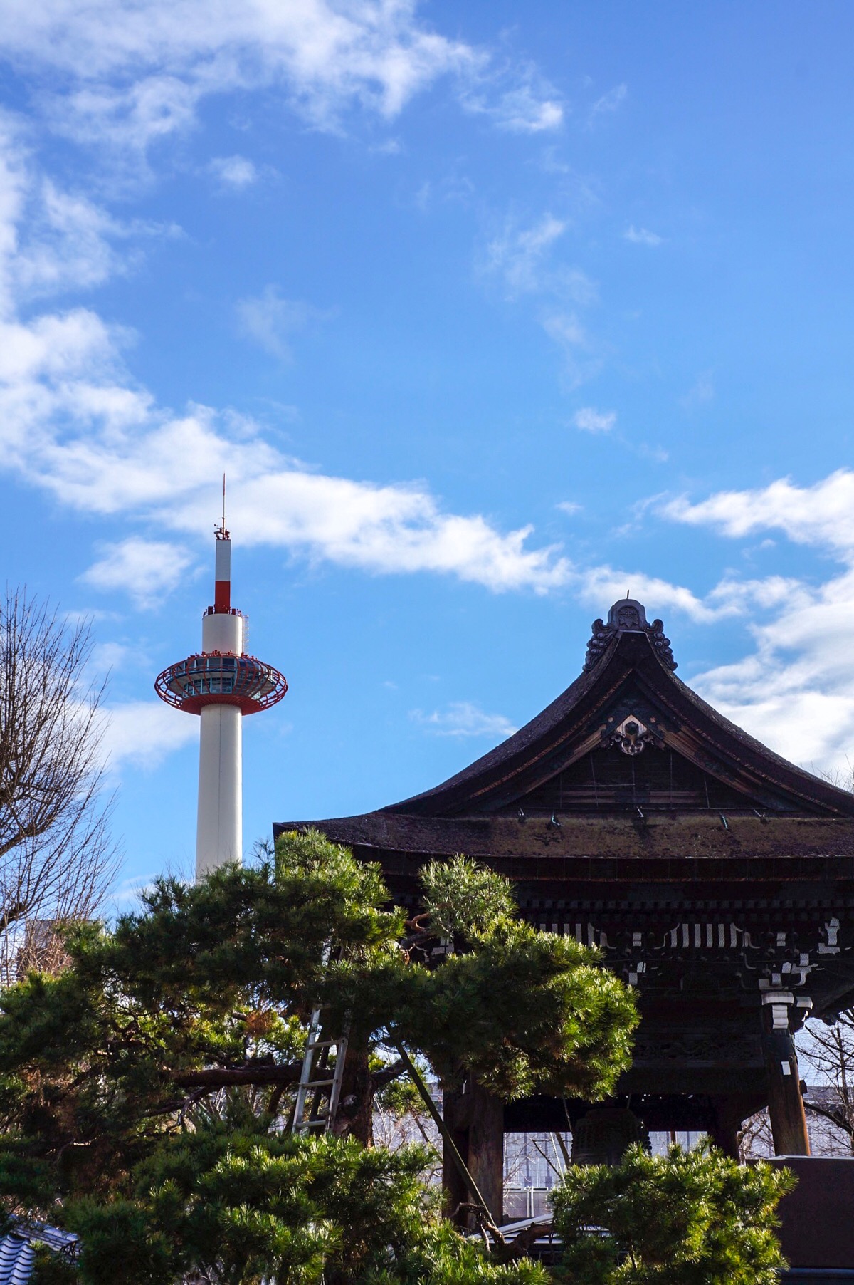 东京本愿寺图片