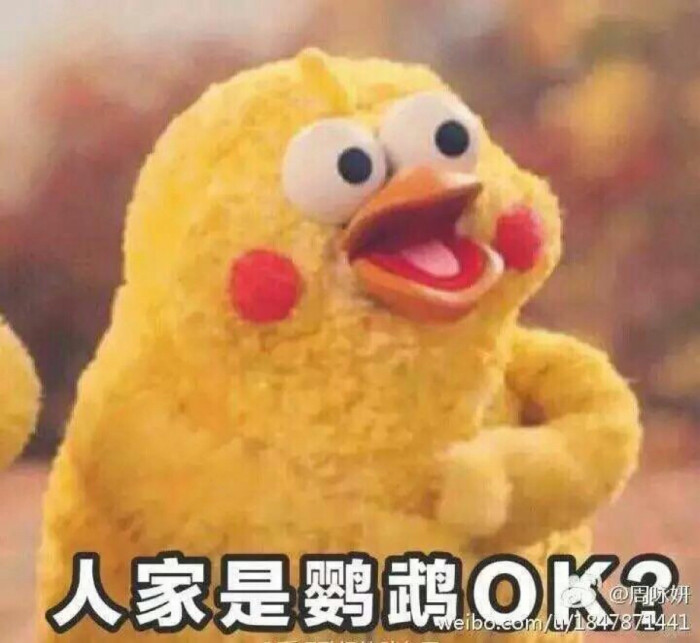 鹦鹉